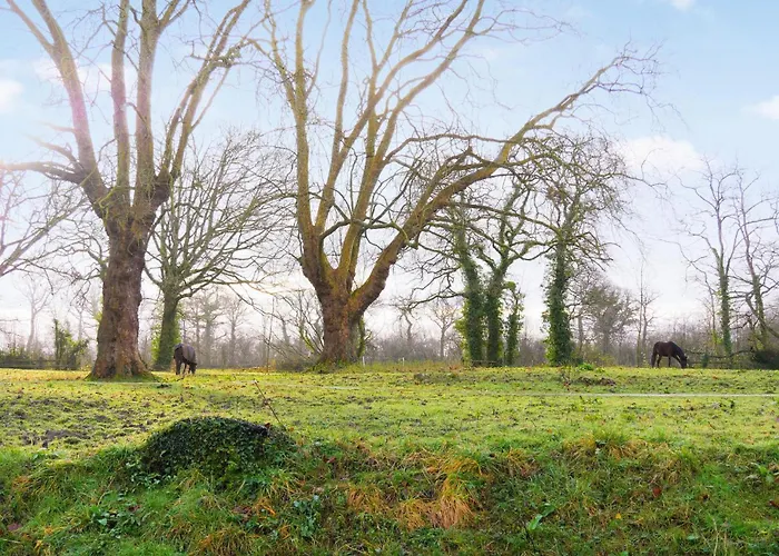 Feriehus In With Kitchenette *